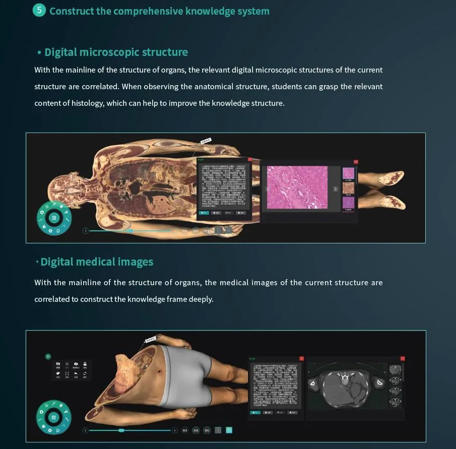 Fashion New Digital Human Anatomy System Anatomage 3D Body Virtual Autopsy Table