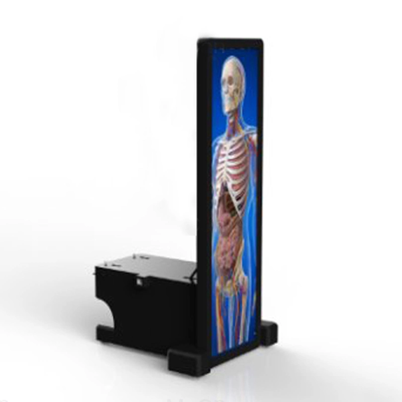 hd digital human virtual interface anatomy dissection table system