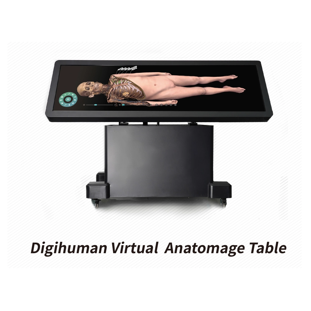 Human Virtual Anatomage 3D Anatomy Table Digital Human Body Virtual Autopsy Dissection Table for School