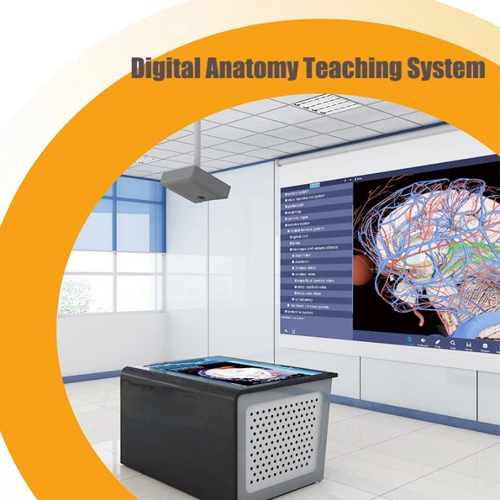 Digital Anatomy System Virtual Dissection Table 3D Body Human Anatomy Teaching System for Medical University