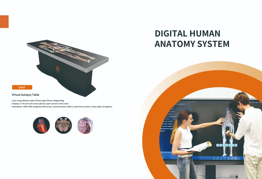 Mce-Int88 Advence Virtual Autopsy Table Digital Human Anatomy System