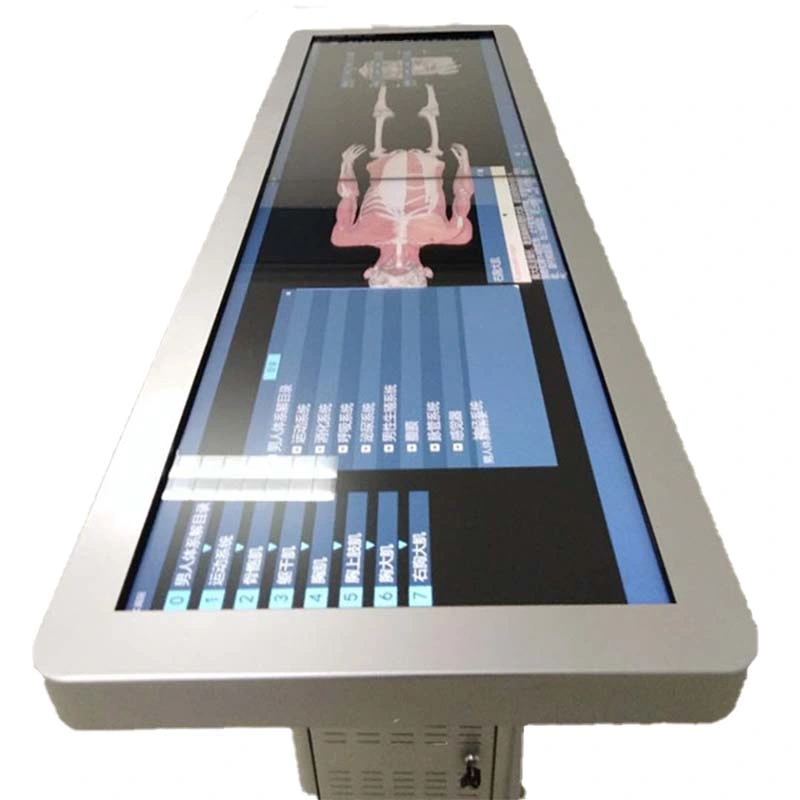 hd digital human virtual interface anatomy dissection table system