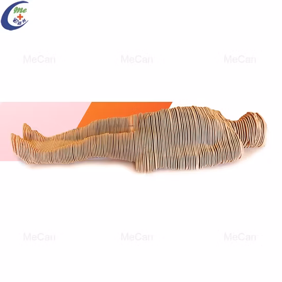 Virtueller Anatomietisch für 3D-Anatomieunterricht mit Touchscreen